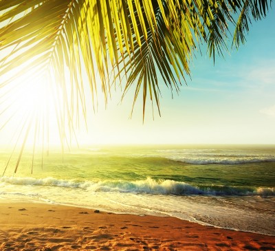 portfolio_featured_image1