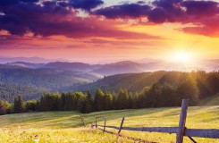 portfolio_featured_image8